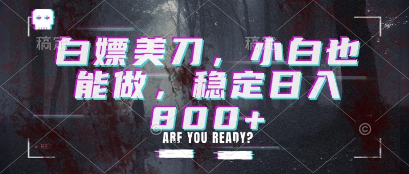 白嫖美刀,小白也能做,稳定日入800+-紫橙项目网