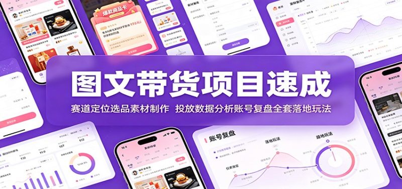 图文带货项目速成:赛道定位选品素材制作,投放数据分析账号复盘全套落地玩法-紫橙项目网