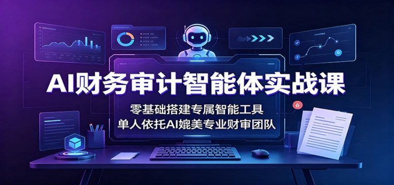AI财务审计智能体实战课:零基础搭建专属智能工具,单人依托AI媲美专业财审团队-紫橙项目网