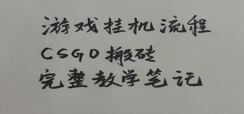 游戏挂机全流程笔记分享,CSGO游戏搬砖,小白看了当天学会见收益-紫橙项目网
