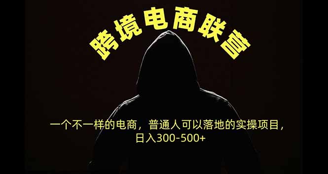 跨境电商联营,一个不一样的电商,普通人可操作日入300-500+-紫橙项目网