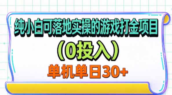 纯小白可落地实操的游戏打金项目(0投入)单机单号30+-紫橙项目网